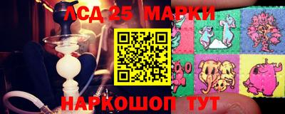 стаф Кулебаки