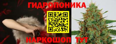 стаф Кулебаки