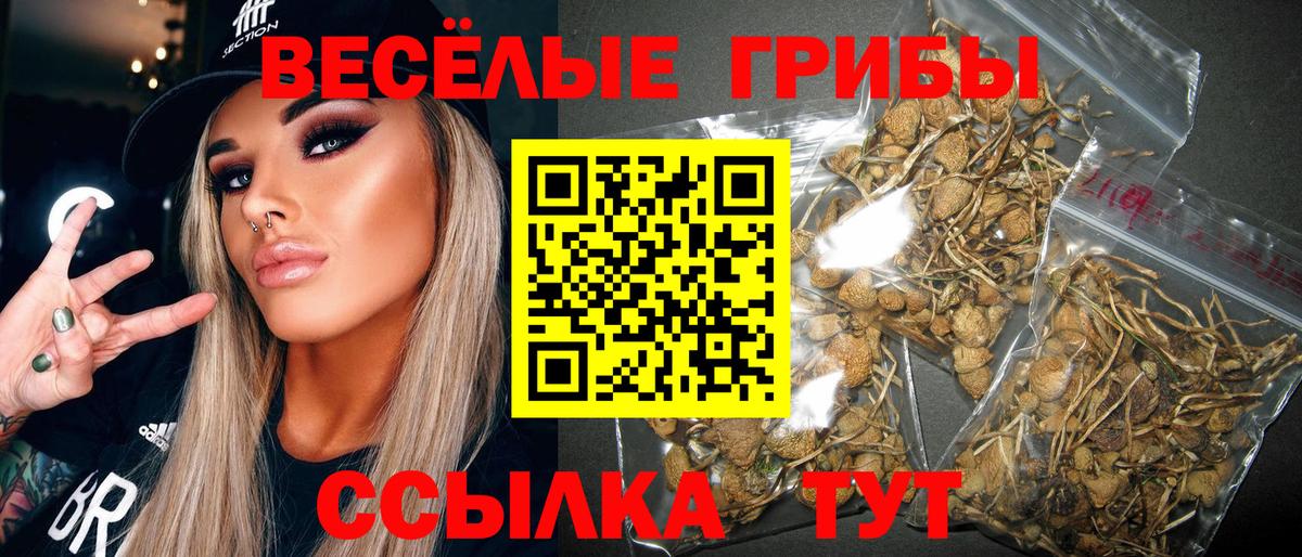 Галлюциногенные грибы ЛСД Канаш